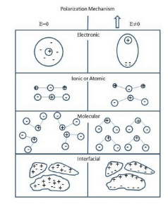 Mechanism of Polarization