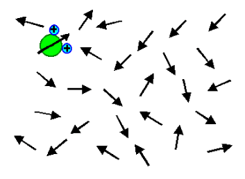 Orientational Polarization